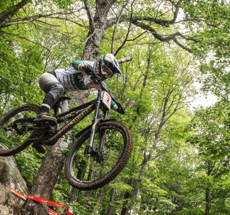 Polygon Bikes Official Site