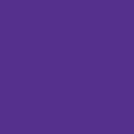 chameleon-purple